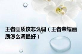 王者画质该怎么调（王者荣耀画质怎么调最好）