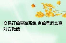交易订单查询系统 有单号怎么查对方微信