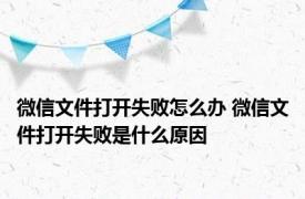 微信文件打开失败怎么办 微信文件打开失败是什么原因