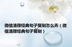 微信清理经典句子复制怎么弄（微信清理经典句子复制）
