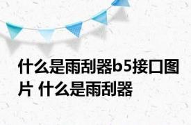什么是雨刮器b5接口图片 什么是雨刮器