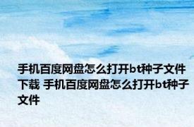 手机百度网盘怎么打开bt种子文件下载 手机百度网盘怎么打开bt种子文件