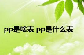 pp是啥表 pp是什么表