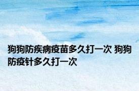 狗狗防疾病疫苗多久打一次 狗狗防疫针多久打一次