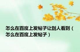 怎么在百度上发帖子让别人看到（怎么在百度上发帖子）