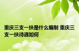 重庆三支一扶是什么编制 重庆三支一扶待遇如何