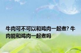 牛肉可不可以和鸡肉一起煮? 牛肉能和鸡肉一起煮吗