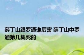 薛丁山跟罗通谁厉害 薛丁山中罗通第几集死的