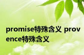 promise特殊含义 provence特殊含义