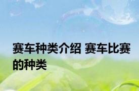 赛车种类介绍 赛车比赛的种类