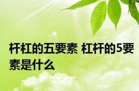 杆杠的五要素 杠杆的5要素是什么