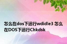 怎么在dos下运行wdidle3 怎么在DOS下运行Chkdsk