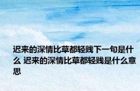 迟来的深情比草都轻贱下一句是什么 迟来的深情比草都轻贱是什么意思