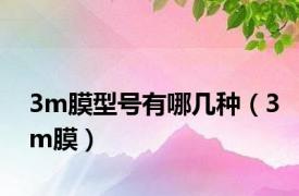 3m膜型号有哪几种（3m膜）