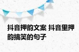 抖音押韵文案 抖音里押韵搞笑的句子