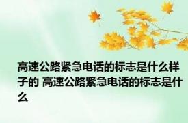 高速公路紧急电话的标志是什么样子的 高速公路紧急电话的标志是什么