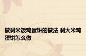 做剩米饭鸡蛋饼的做法 剩大米鸡蛋饼怎么做