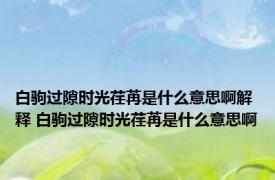 白驹过隙时光荏苒是什么意思啊解释 白驹过隙时光荏苒是什么意思啊