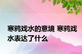 寒鸦戏水的意境 寒鸦戏水表达了什么