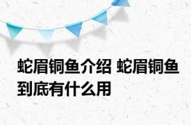 蛇眉铜鱼介绍 蛇眉铜鱼到底有什么用