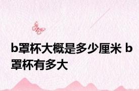 b罩杯大概是多少厘米 b罩杯有多大