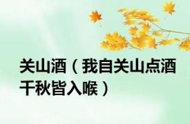 关山酒（我自关山点酒千秋皆入喉）