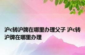 沪c转沪牌在哪里办理父子 沪c转沪牌在哪里办理
