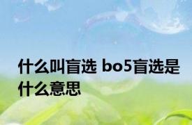 什么叫盲选 bo5盲选是什么意思
