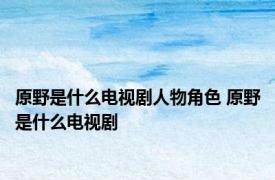 原野是什么电视剧人物角色 原野是什么电视剧