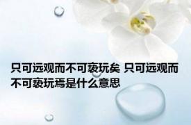 只可远观而不可亵玩矣 只可远观而不可亵玩焉是什么意思