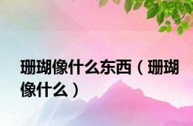珊瑚像什么东西（珊瑚像什么）