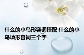 什么的小鸟形容词搭配 什么的小鸟填形容词三个字