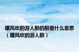 暖风吹的游人醉的醉是什么意思（暖风吹的游人醉）