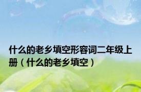 什么的老乡填空形容词二年级上册（什么的老乡填空）