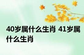 40岁属什么生肖 41岁属什么生肖