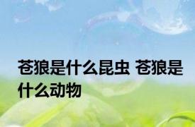 苍狼是什么昆虫 苍狼是什么动物