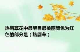 热唇草花中最醒目最美丽颜色为红色的部分是（热唇草）