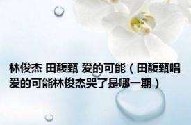 林俊杰 田馥甄 爱的可能（田馥甄唱爱的可能林俊杰哭了是哪一期）