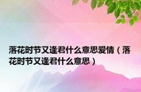 落花时节又逢君什么意思爱情（落花时节又逢君什么意思）