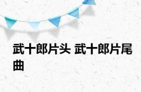 武十郎片头 武十郎片尾曲 