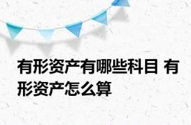 有形资产有哪些科目 有形资产怎么算