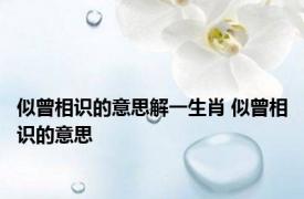 似曾相识的意思解一生肖 似曾相识的意思
