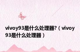 vivoy93是什么处理器?（vivoy93是什么处理器）