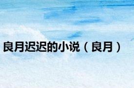 良月迟迟的小说（良月）