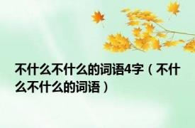 不什么不什么的词语4字（不什么不什么的词语）