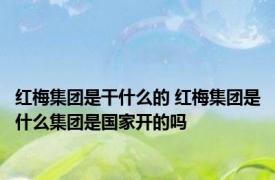 红梅集团是干什么的 红梅集团是什么集团是国家开的吗