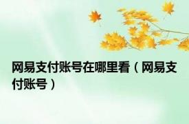 网易支付账号在哪里看（网易支付账号）