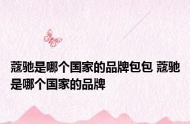 蔻驰是哪个国家的品牌包包 蔻驰是哪个国家的品牌