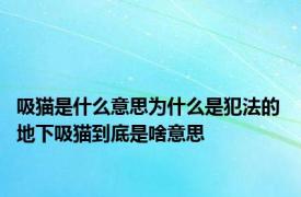 吸猫是什么意思为什么是犯法的 地下吸猫到底是啥意思