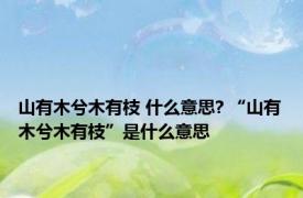 山有木兮木有枝 什么意思? “山有木兮木有枝”是什么意思